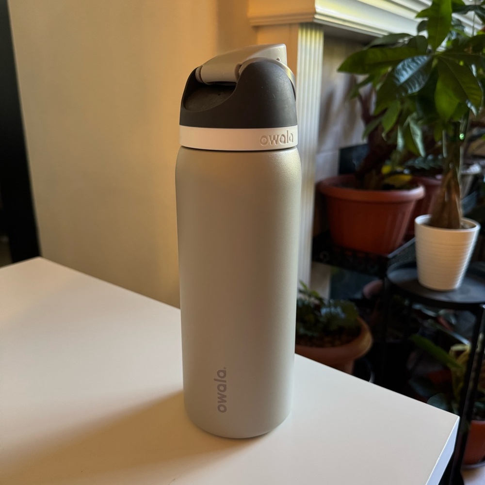 Owala Gray Water Bottle 32oz
